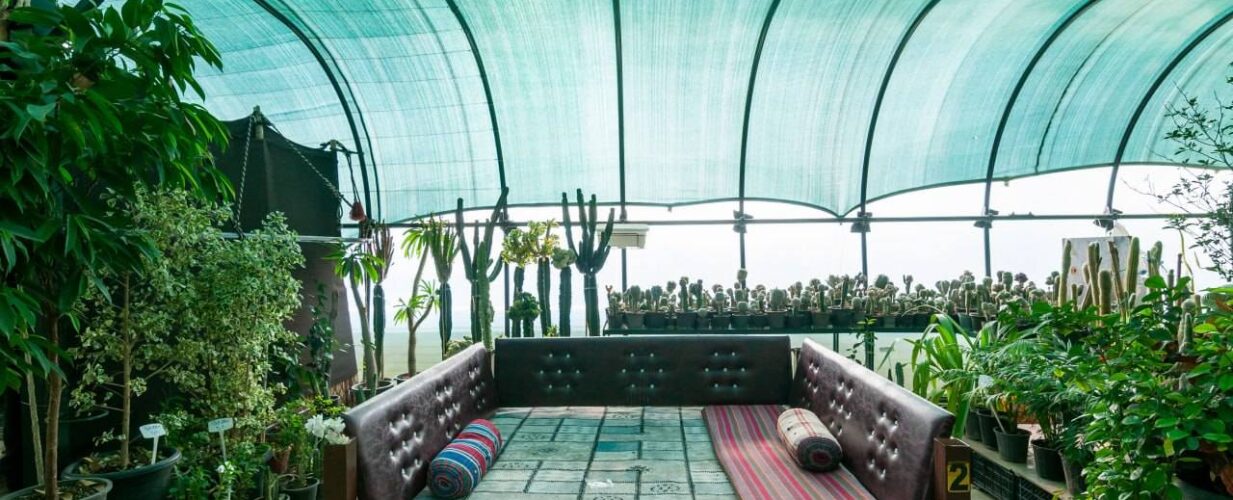 فضای سبز