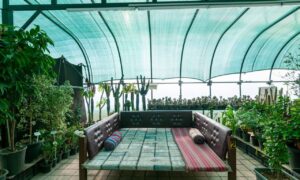 فضای سبز